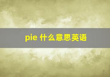 pie 什么意思英语